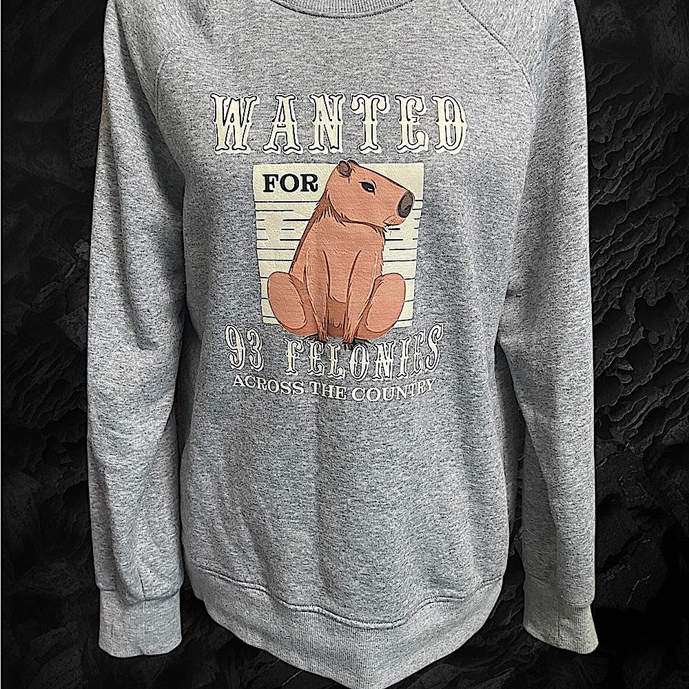 🔥 Capybara sweatshirt 🔥
